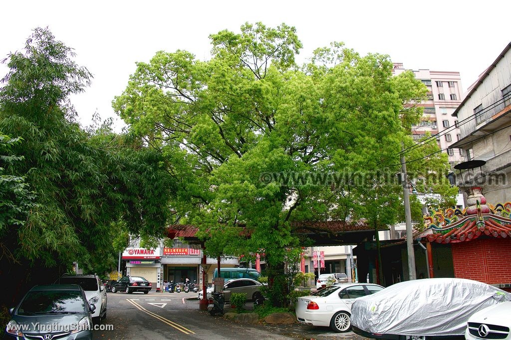 YTS_YTS_20200412_新竹竹東國寶級樟寄生樹／福德祠／春福亭004_539A3365.jpg