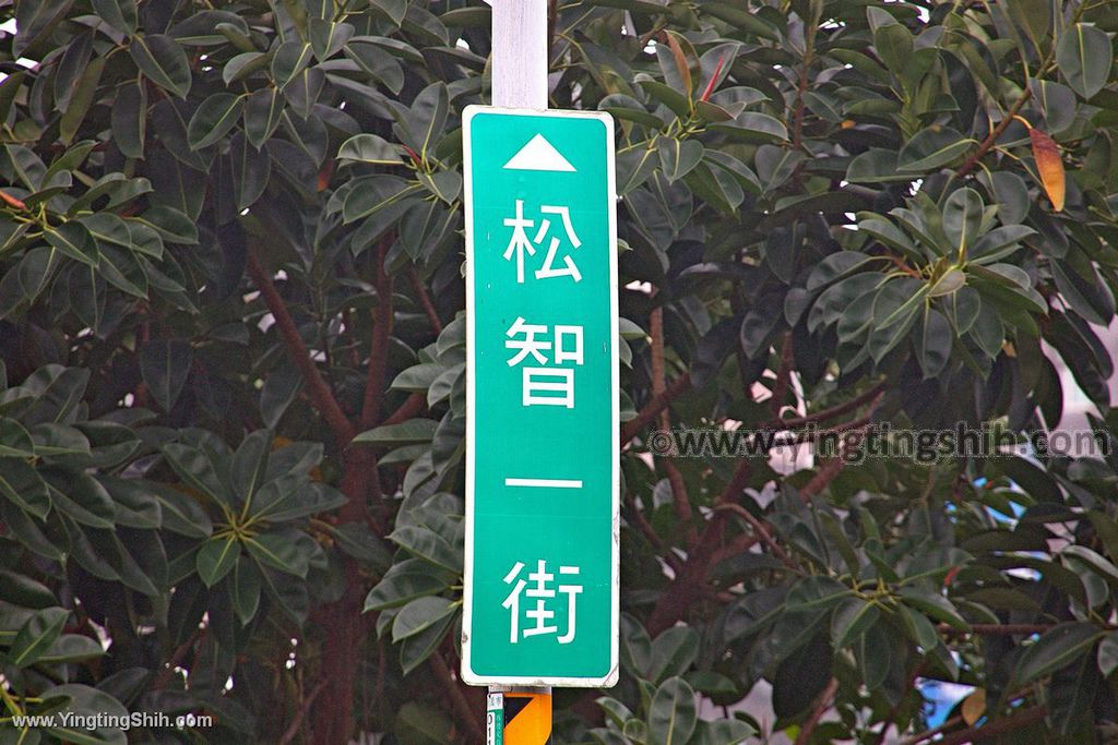 YTS_YTS_20200119_桃園中壢過嶺兒童公園Taoyuan Zhongli Children%5Cs Park002_539A6536.jpg