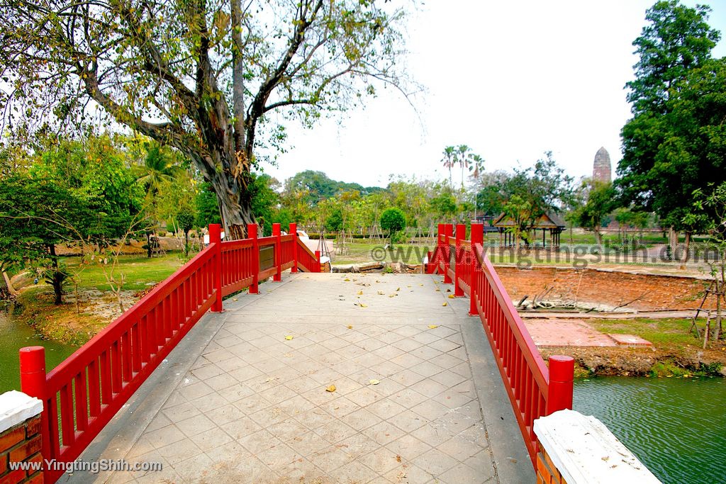 YTS_YTS_20200122_泰國大城大象園／阿瑜陀耶古城Thailand Ayutthaya004_539A9196.jpg