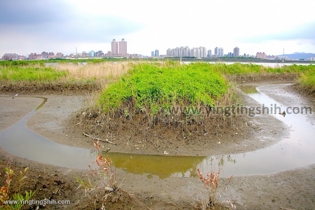 YTS_YTS_20200614_台北士林社六濕地／富洲河濱公園／社子島017_539A8714.jpg