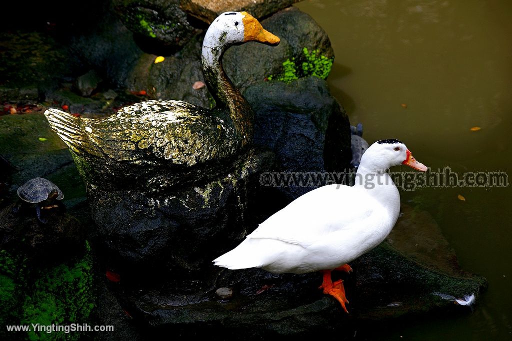 YTS_YTS_20200530_新北板橋特色公園／三合院／交趾陶／農村公園026_539A3404.jpg