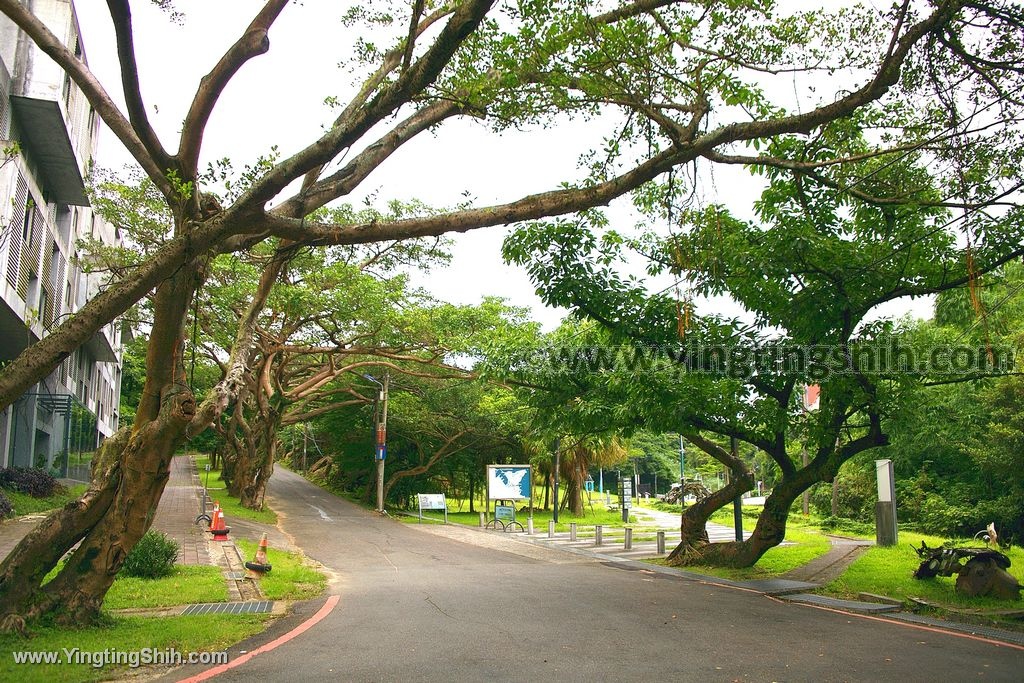 YTS_YTS_20200613_基隆中正360度觀景台／容軒園區／步道／海科館火車站010_539A7565.jpg