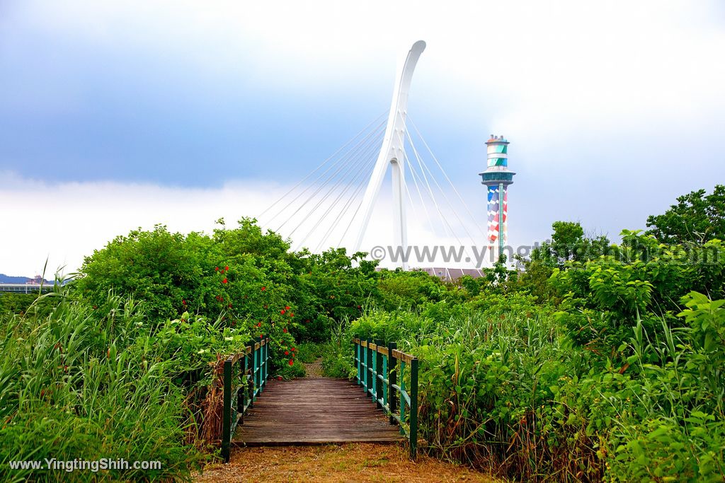 YTS_YTS_20200614_台北士林社子島濕地／解說小築／口袋廣場013_539A8502.jpg