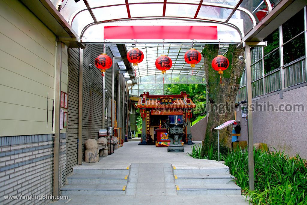 YTS_YTS_20200620_桃園龜山百年楓香／百年護神大樹／楓樹福德祠／虎爺008_539A0014.jpg