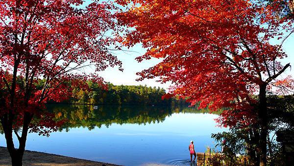 Walden Pond