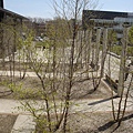 DSC02618.JPG