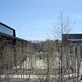 DSC02620.JPG