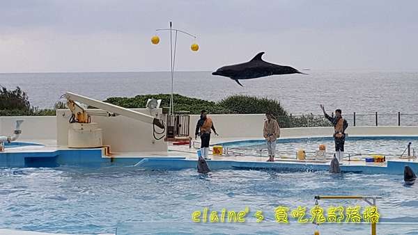 17 沖繩本部 海洋博公園 絕對值得你呆上1天的好地方 国営沖縄記念公園海洋博公園 Elaine S 貪吃鬼部落格 痞客邦 17 沖繩本部 海洋博公園 絕對值得你呆上1天的好地方 国営沖縄記念公園海洋博公園 Elaine S 貪吃鬼部落格 痞客邦
