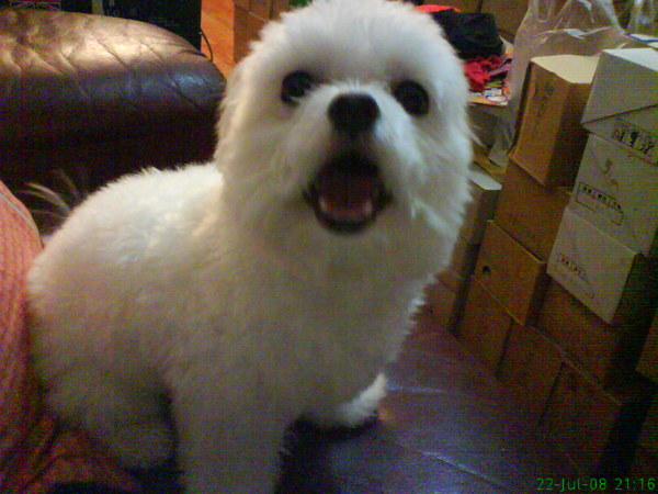 DSC00232.JPG