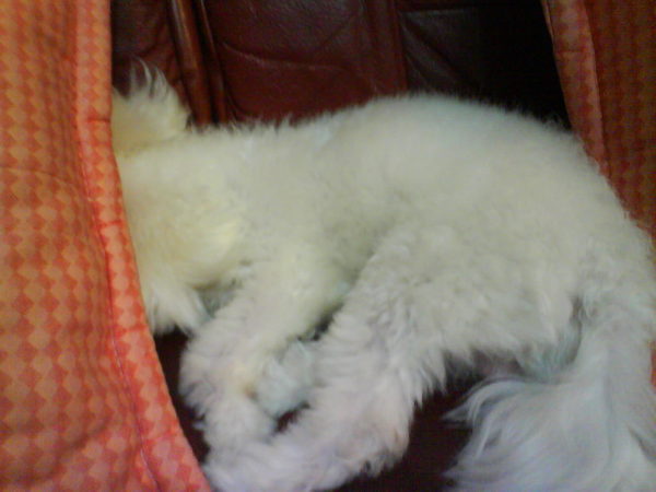 DSC00293.JPG