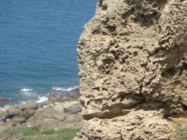 DSC04983.JPG