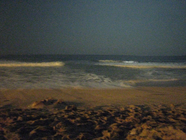 IMG_1491.JPG
