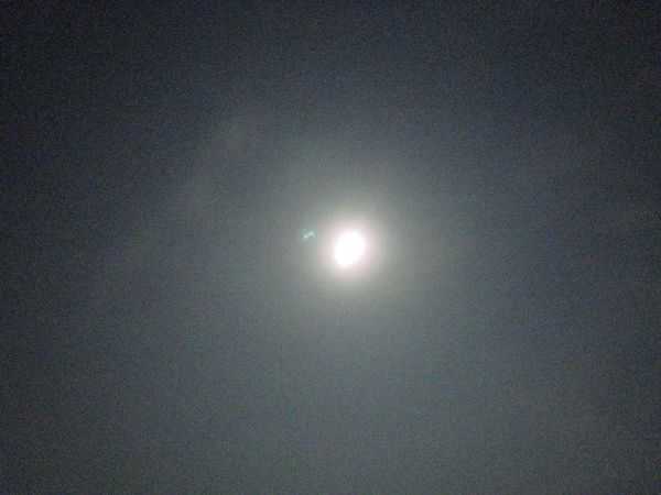 IMG_1494.JPG