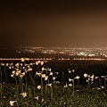 花蓮夜景 可惜天氣太囧