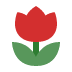 flower flower