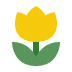 flower (1) flower (1)