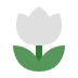flower (3) flower (3)
