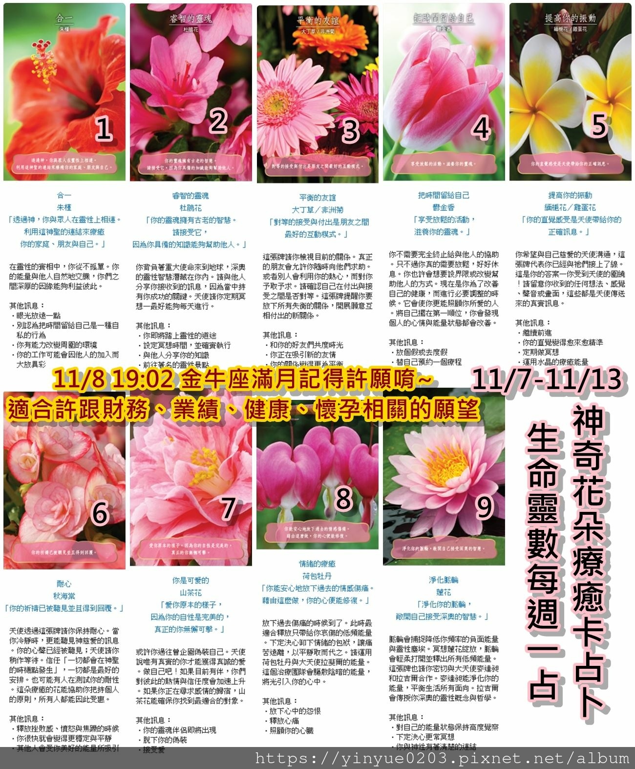 生命靈數每週一占 生命靈數每週一占