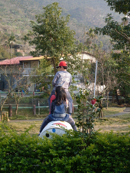 SDC19804.JPG SDC19804.JPG