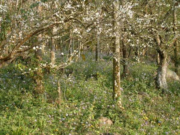 SDC19788.JPG SDC19788.JPG