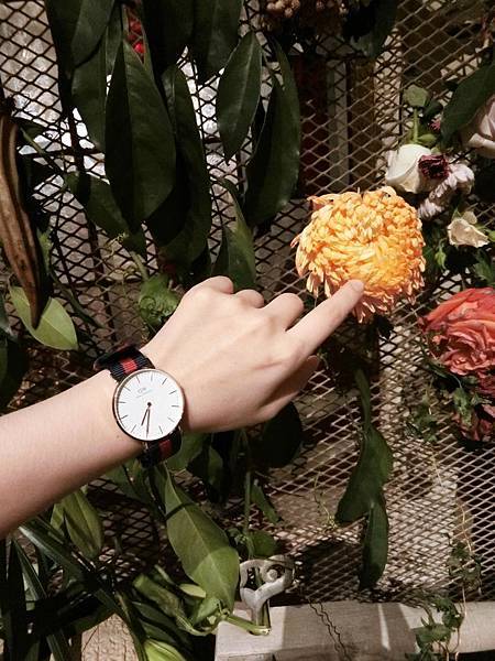 danielwellington/DW手錶/DW手錶推薦