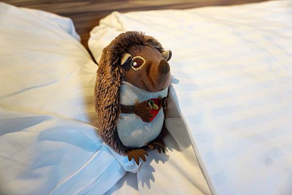 碧潭飯店/新加州景觀旅館 new california hotel