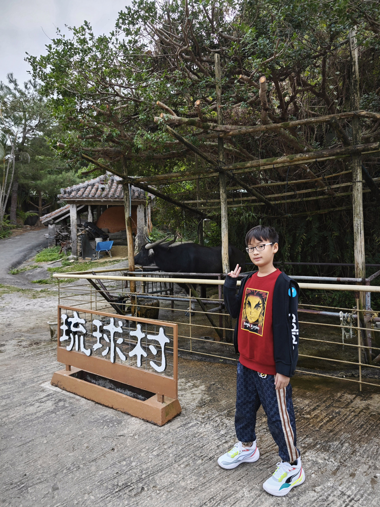 沖繩水族館、琉球村、星野咖啡