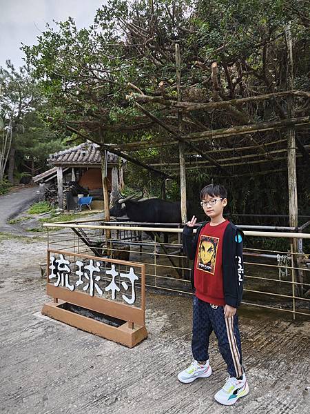 沖繩水族館、琉球村、星野咖啡