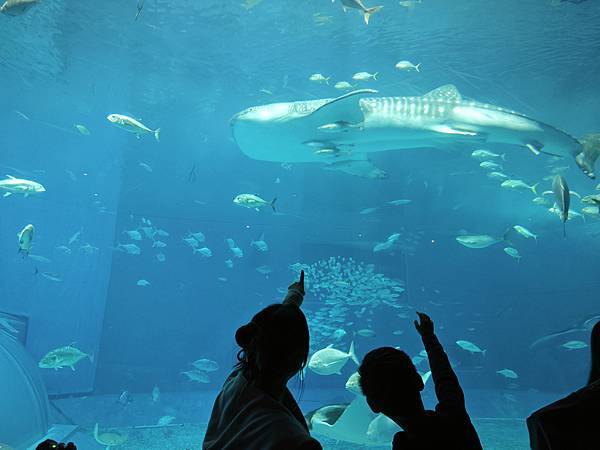 沖繩水族館、琉球村、星野咖啡