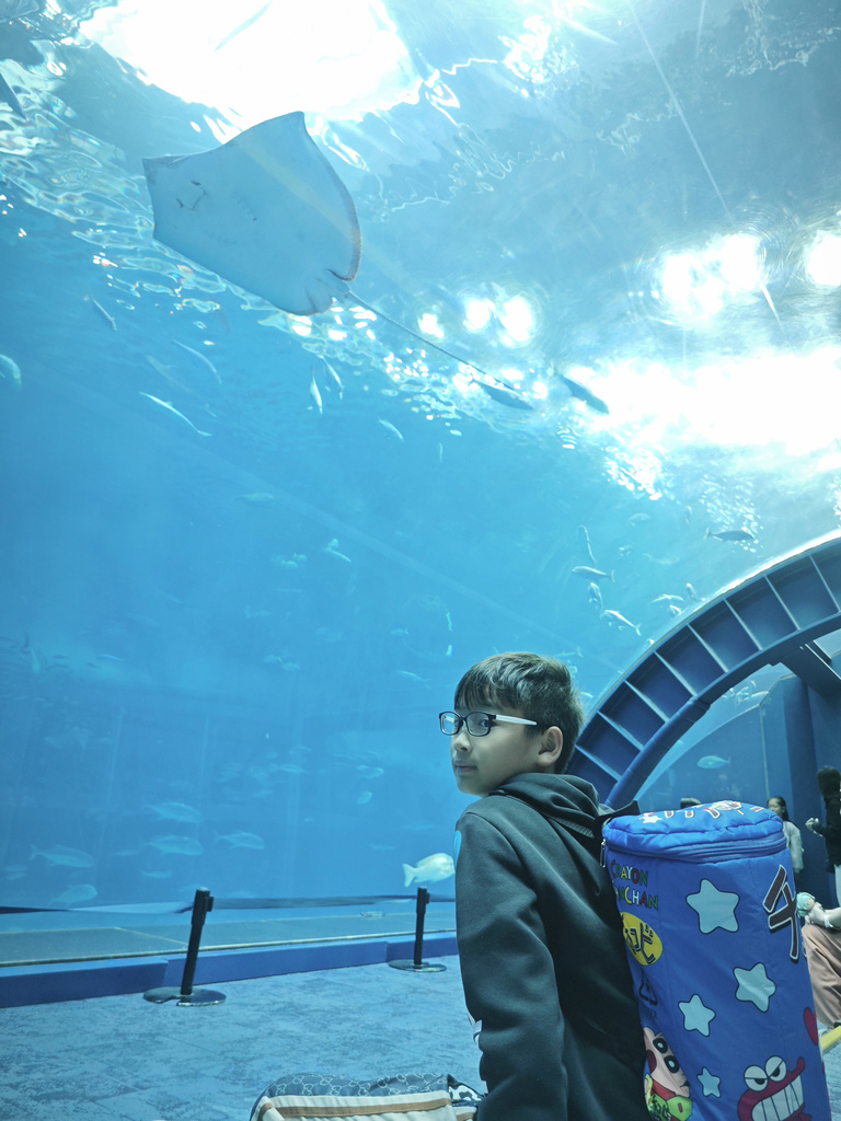 沖繩水族館、琉球村、星野咖啡