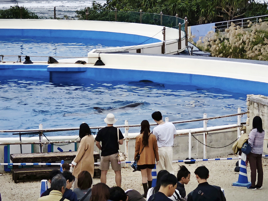 沖繩水族館、琉球村、星野咖啡