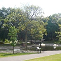 Weston Park 039.JPG