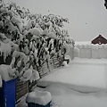 snow 004.JPG