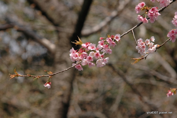 DSC_1743.JPG DSC_1743.JPG