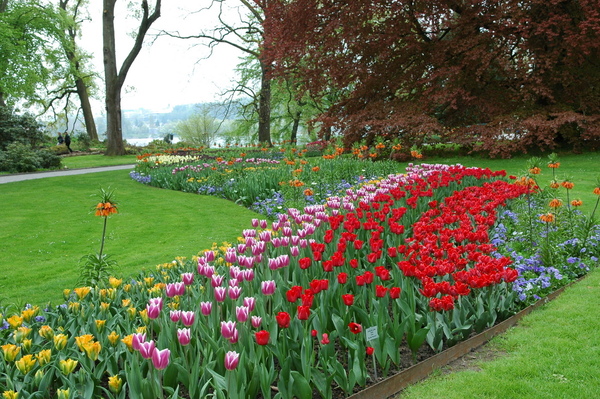 Mainau