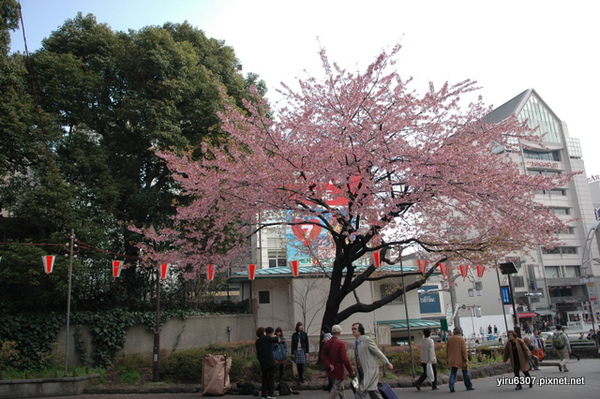 DSC_1703.JPG DSC_1703.JPG