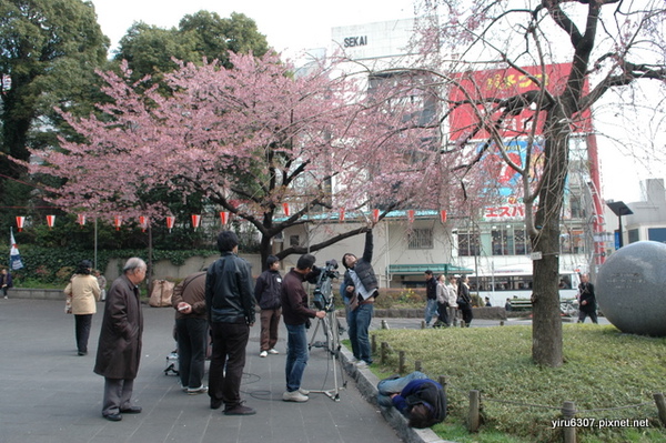 DSC_1675.JPG DSC_1675.JPG
