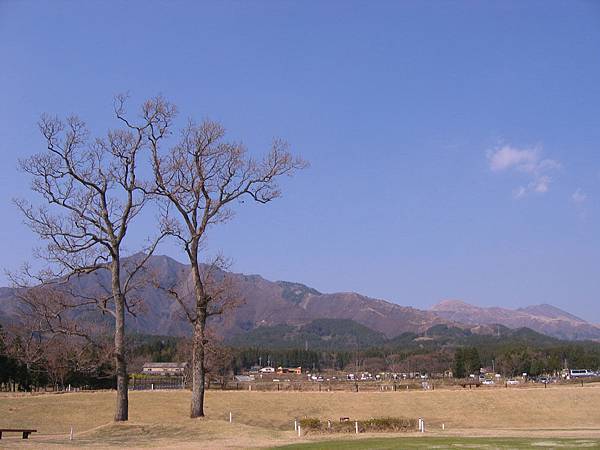 美麗的一心行公園1