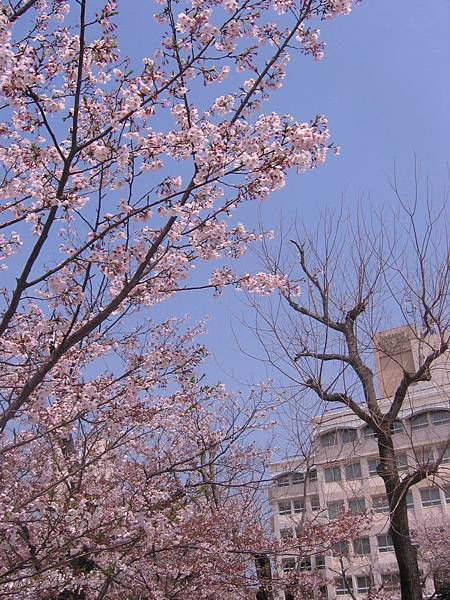 原爆和平公園-1