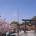 柳川旁的三柱神社