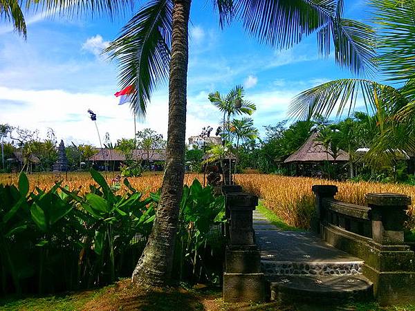 Bebek Tepi Sawah(Ubud)