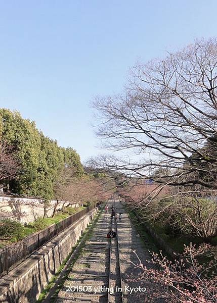 京都賞櫻~蹴上鐵道 01 京都賞櫻~蹴上鐵道 01