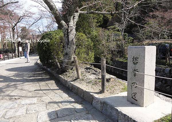 關西賞櫻~哲學之道 01 關西賞櫻~哲學之道 01