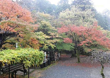 京都洛南 今熊野觀音寺 04