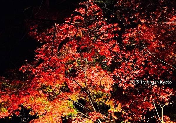 201511 京都清水寺 07