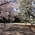 RIMG0971.JPG