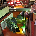 IMG_7489.JPG