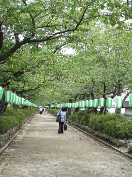 若宮大路