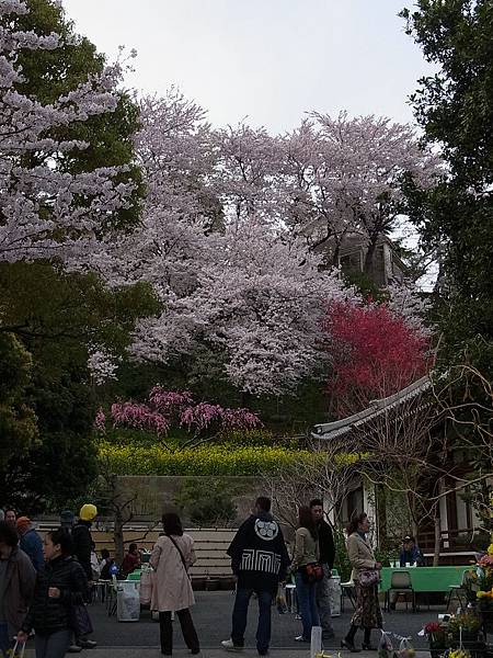 養源寺