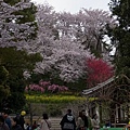 養源寺